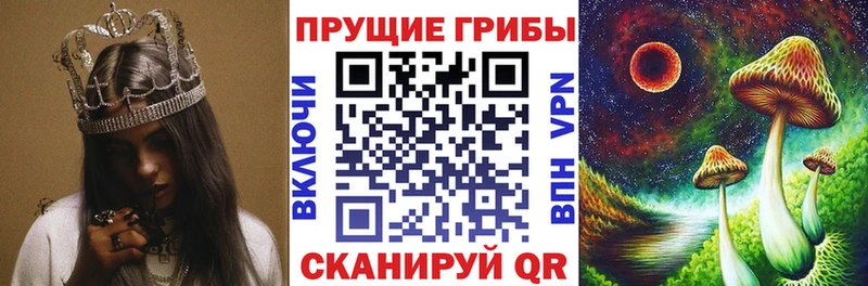 Псилоцибиновые грибы Psilocybe  Белоусово 